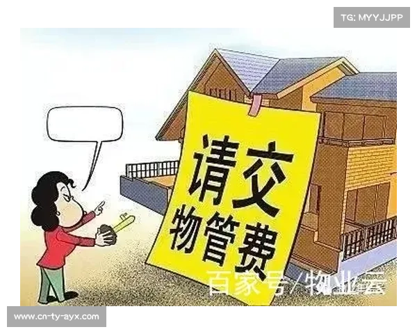 体育组织会员管理全面数字化 会费收缴率提高